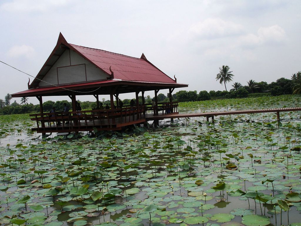 k-Thailand 2006 - Fahrt zum River Kwai - Bootstour zur Lotusfarm (2)