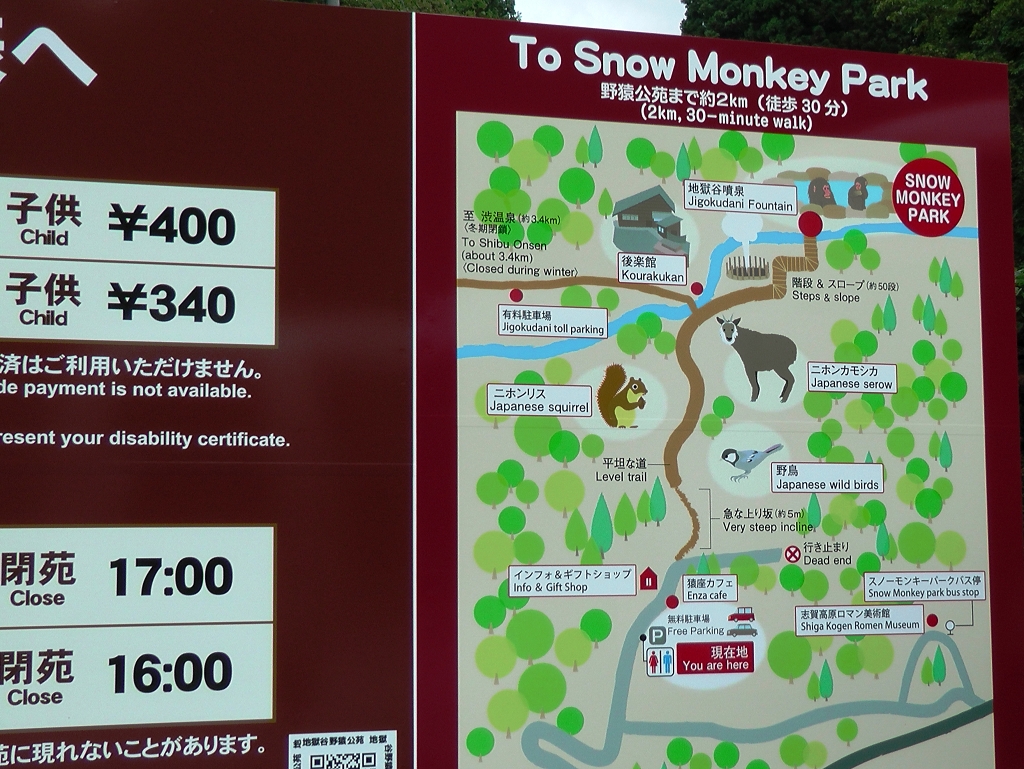 k-Ausflug zum Jikodani Monkey Park (2)