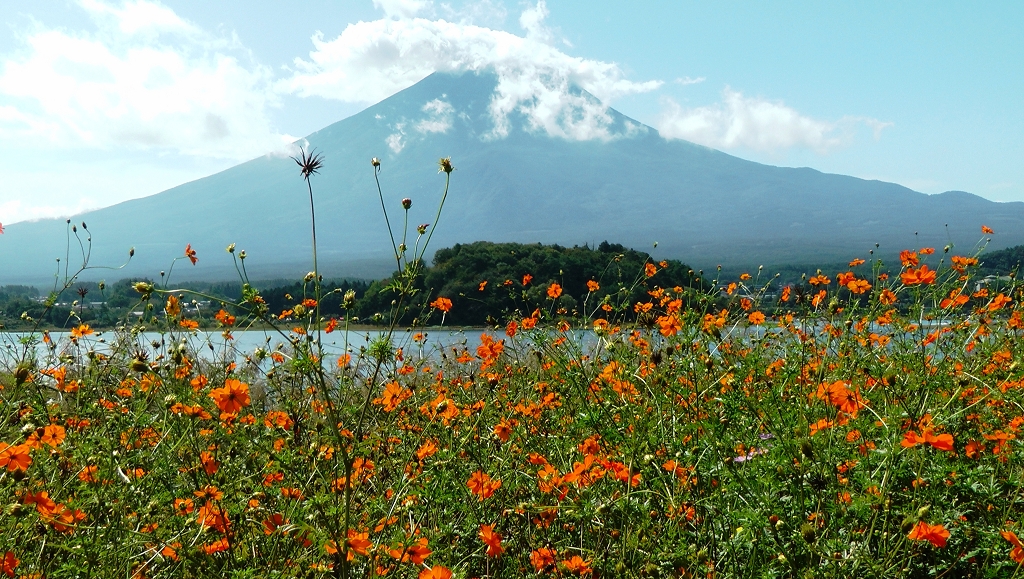 k-Blick aud den Fuji -san (3)