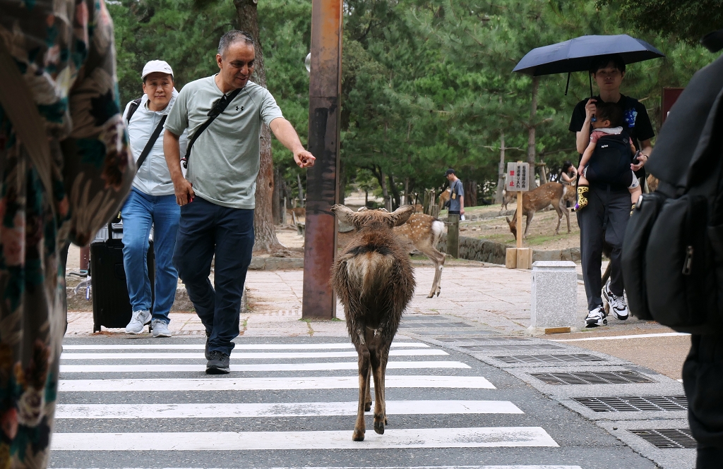 k-Nara - Parkanlage (3)