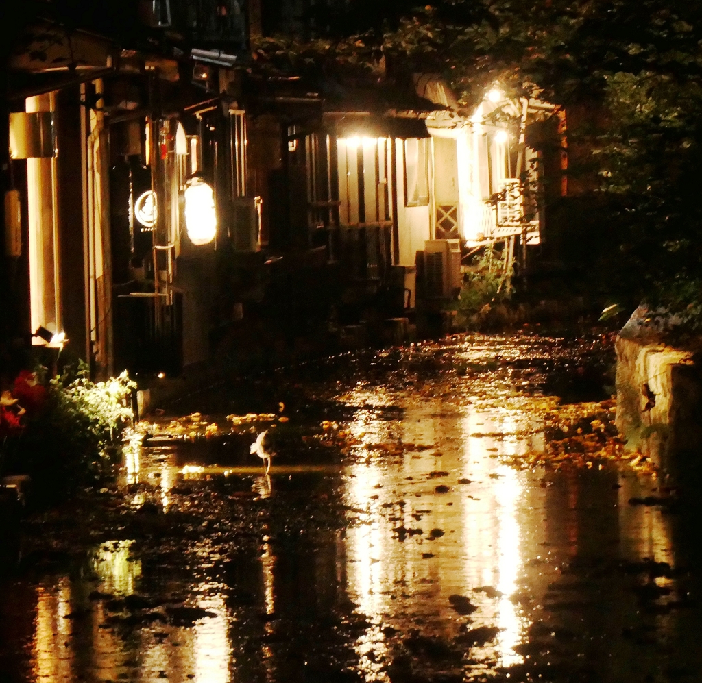 k-Spaziergang zum Geicha-Viertel in Kyoto am Abend (6)